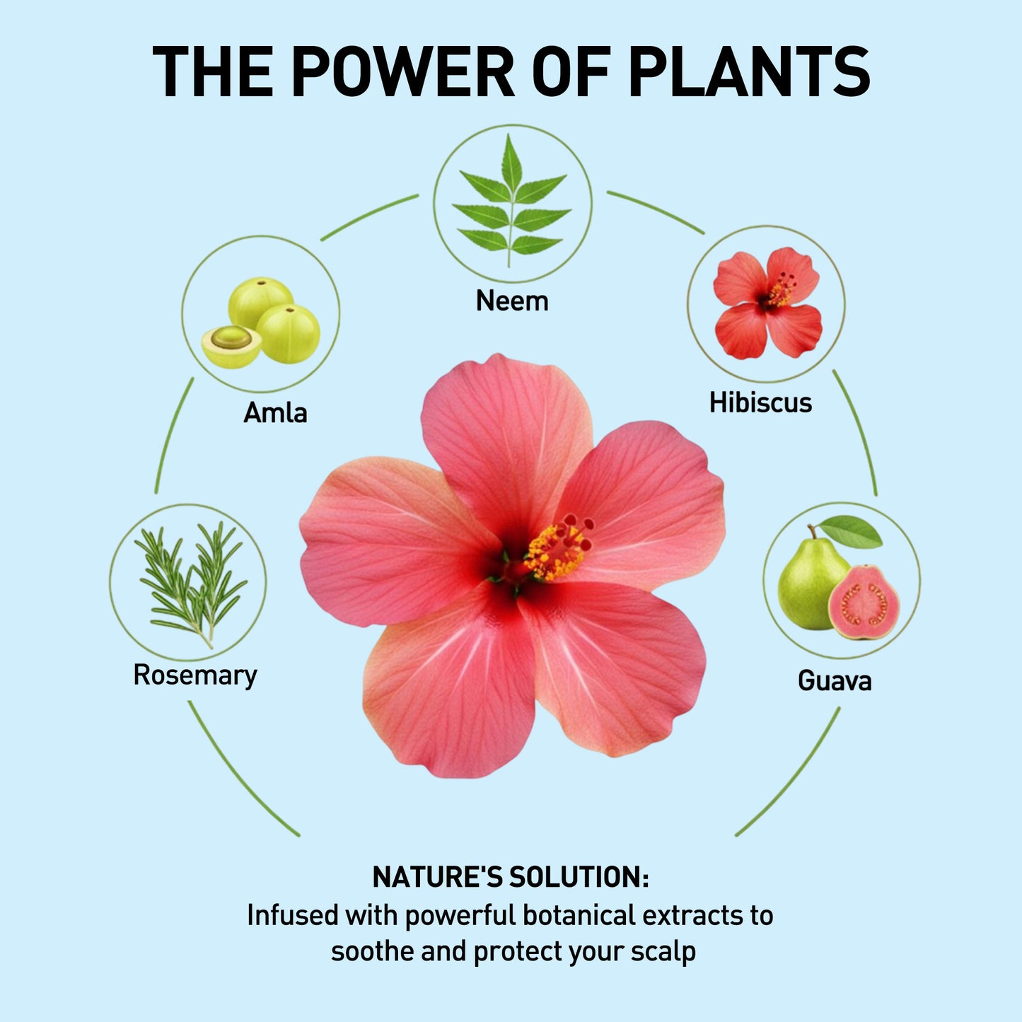 Anti Dandruff Shampoo