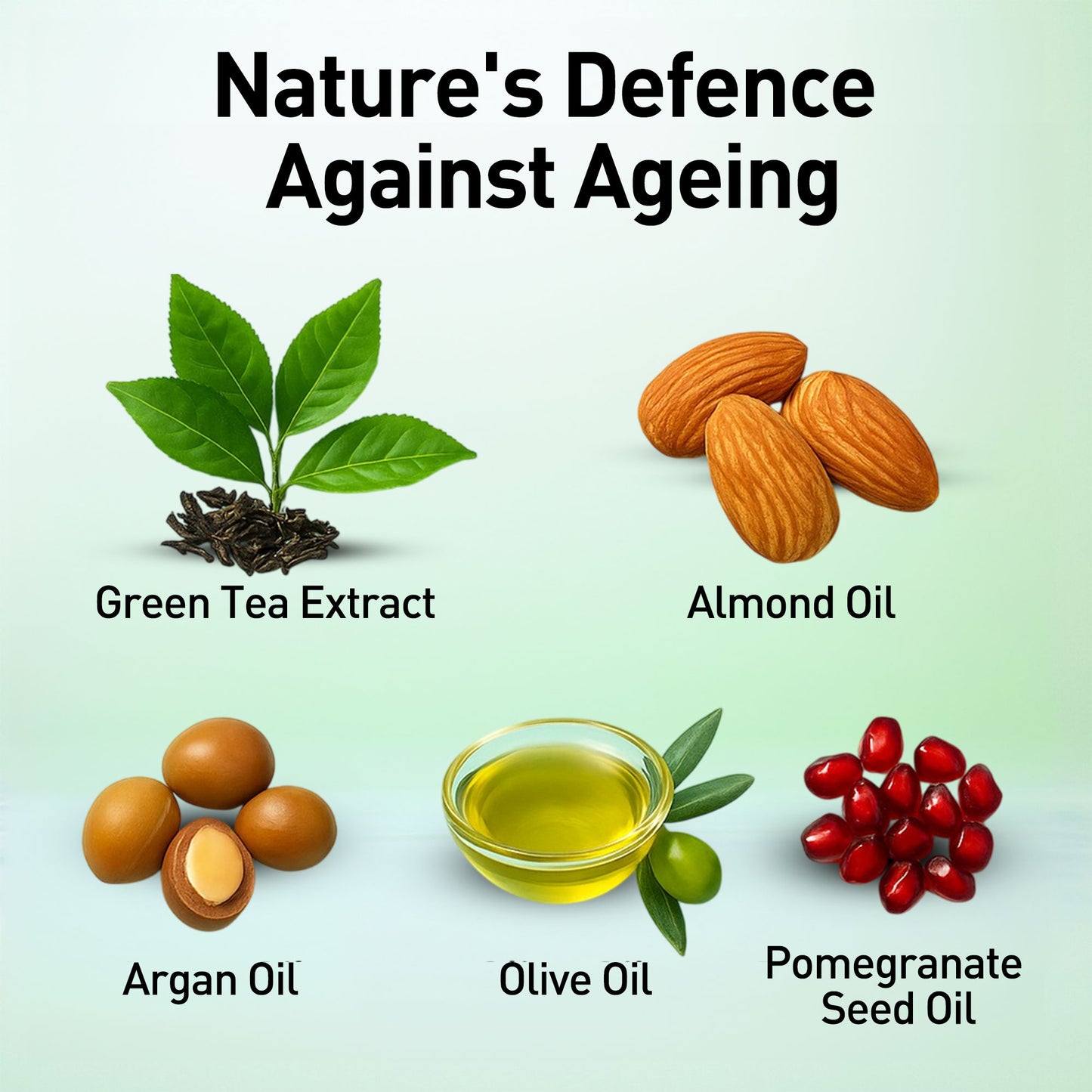 Anti Aging-Day Cream - Green Tea