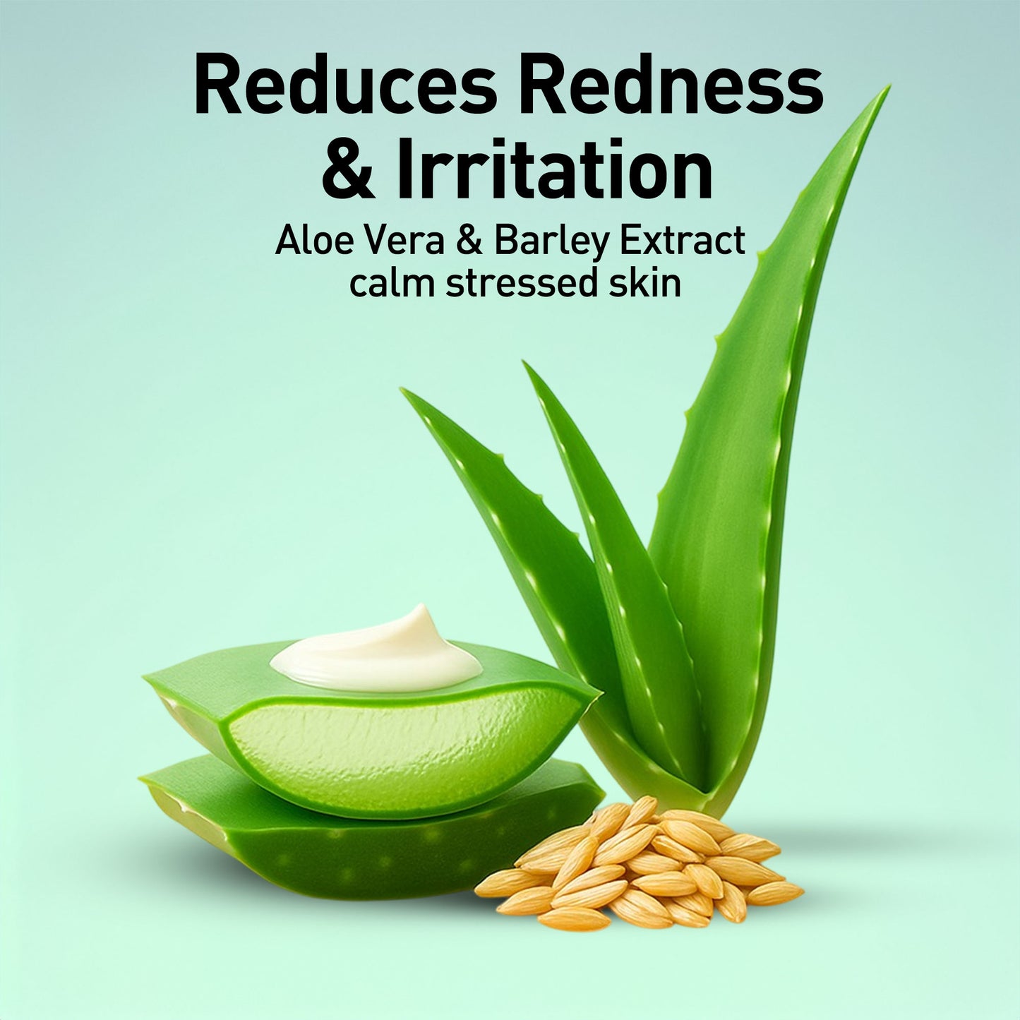 Anti Aging-Night Cream - Green Tea