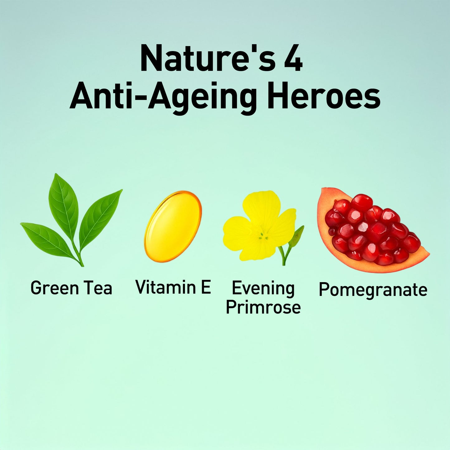 Anti Aging-Night Cream - Green Tea
