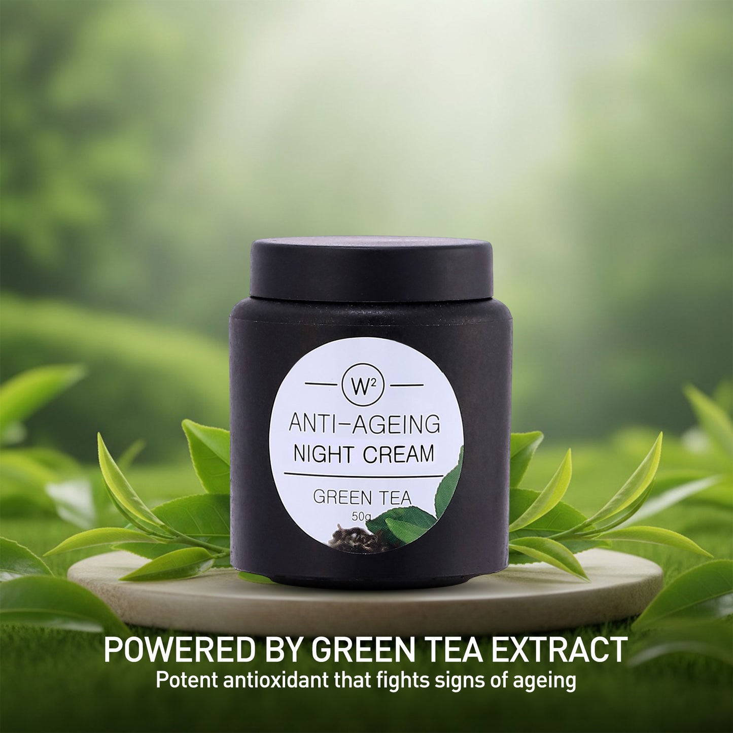 Anti Aging-Night Cream - Green Tea
