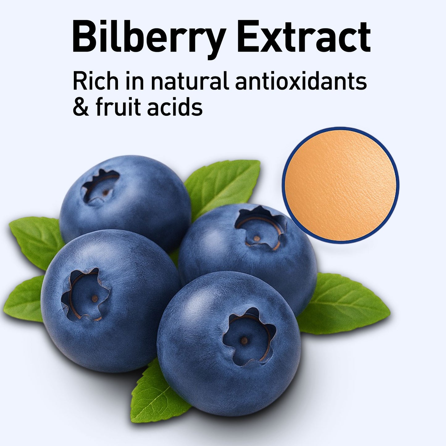 Anti Ageing & Anti Wrinkle Serum (Bilberry & Sugar Mapple)