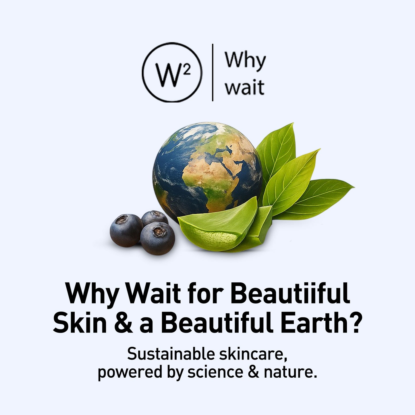 Anti Ageing & Anti Wrinkle Serum (Bilberry & Sugar Mapple)