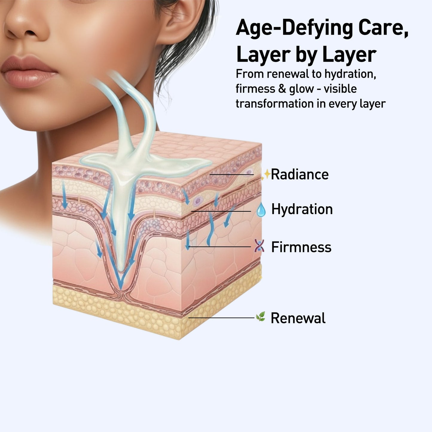 Anti Ageing & Anti Wrinkle Serum (Bilberry & Sugar Mapple)