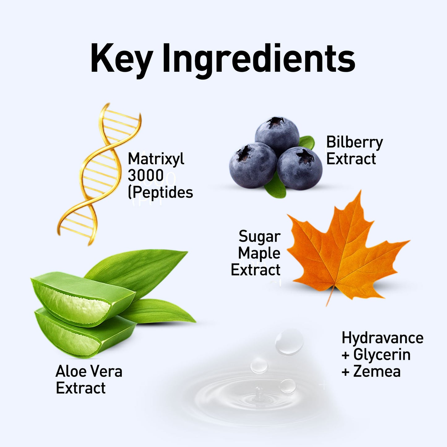 Anti Ageing & Anti Wrinkle Serum (Bilberry & Sugar Mapple)