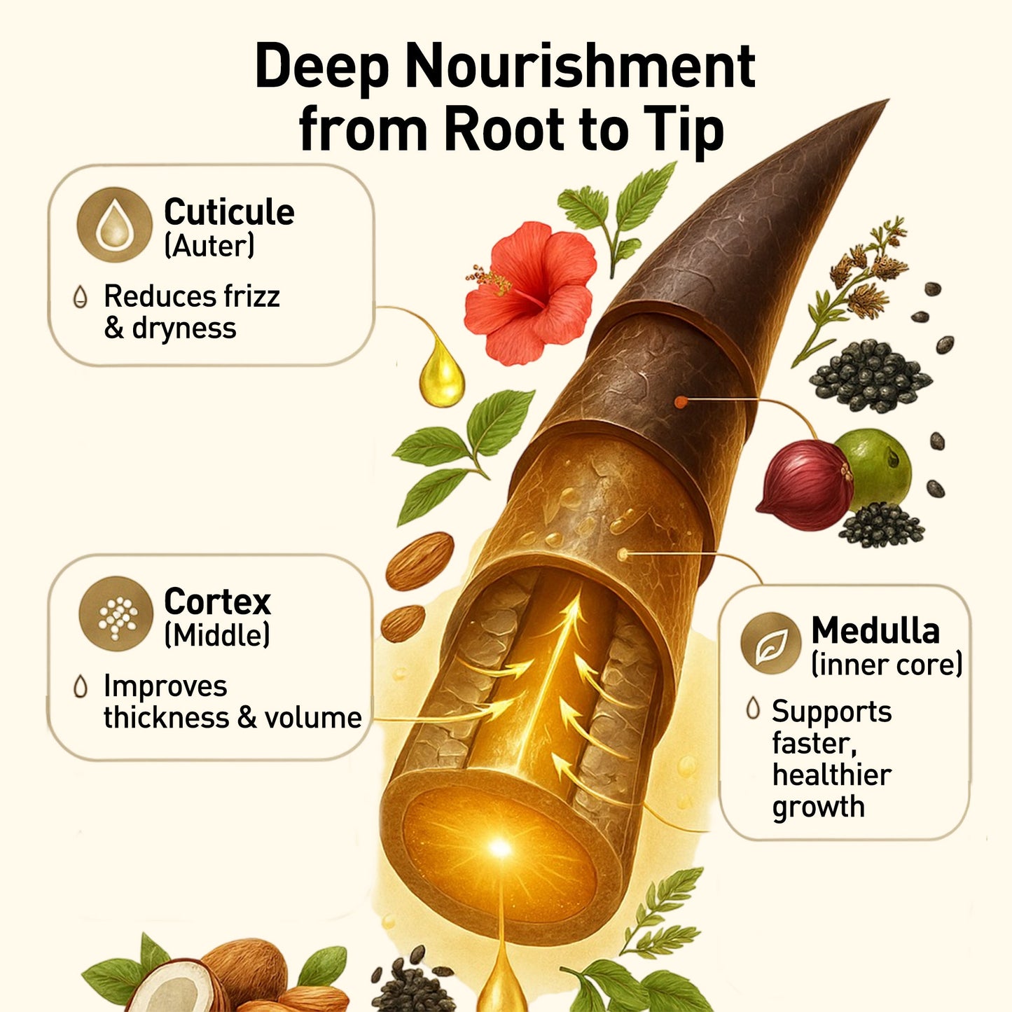 Onion Seed Hair Oil