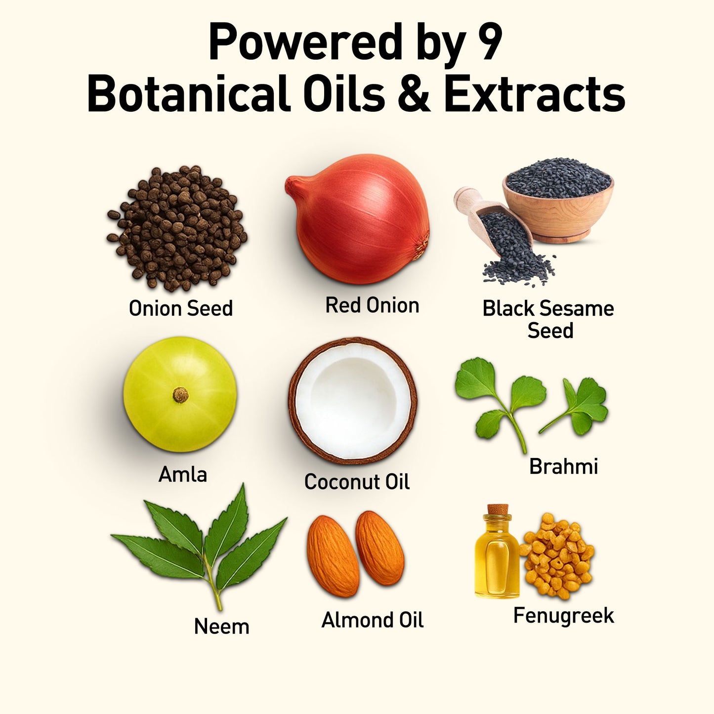 Onion Seed Hair Oil