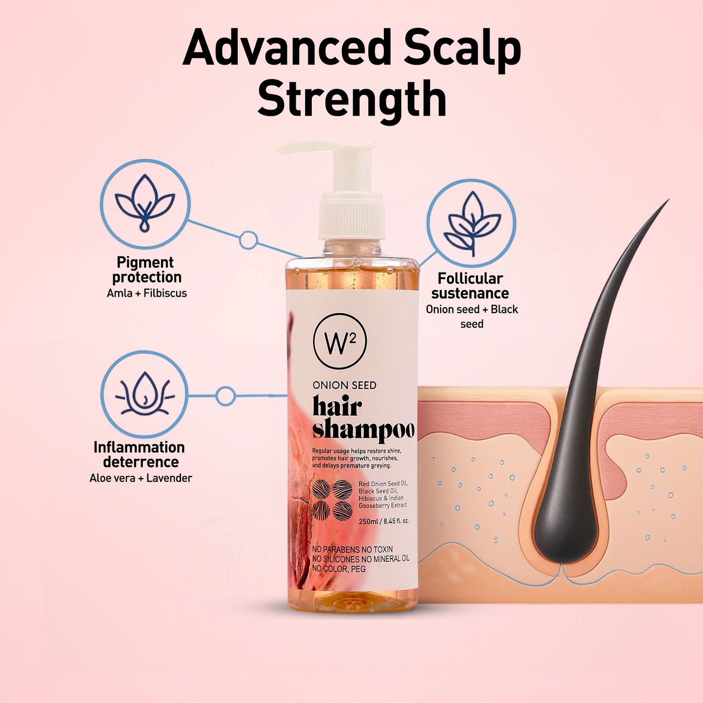 Onion Seed Hair Shampoo