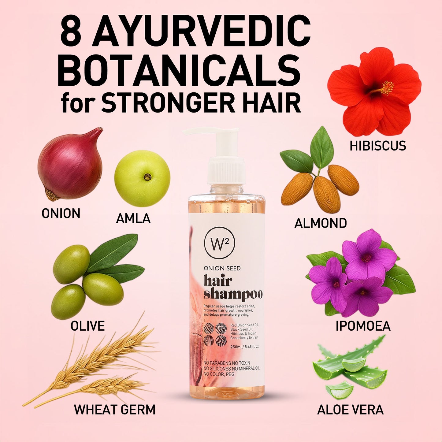 Onion Seed Hair Shampoo