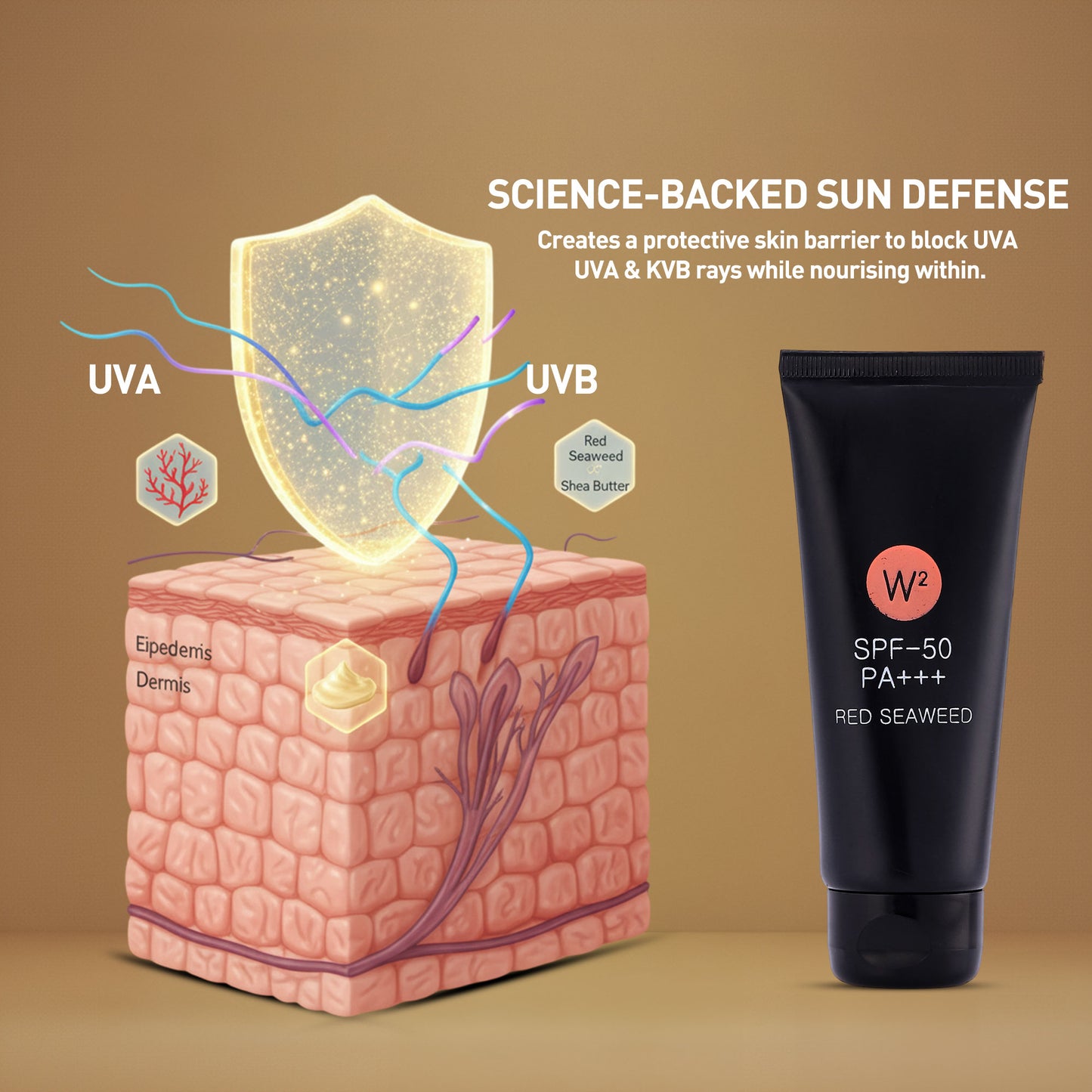 SPF 50 PA+++ Sun Protection Cream