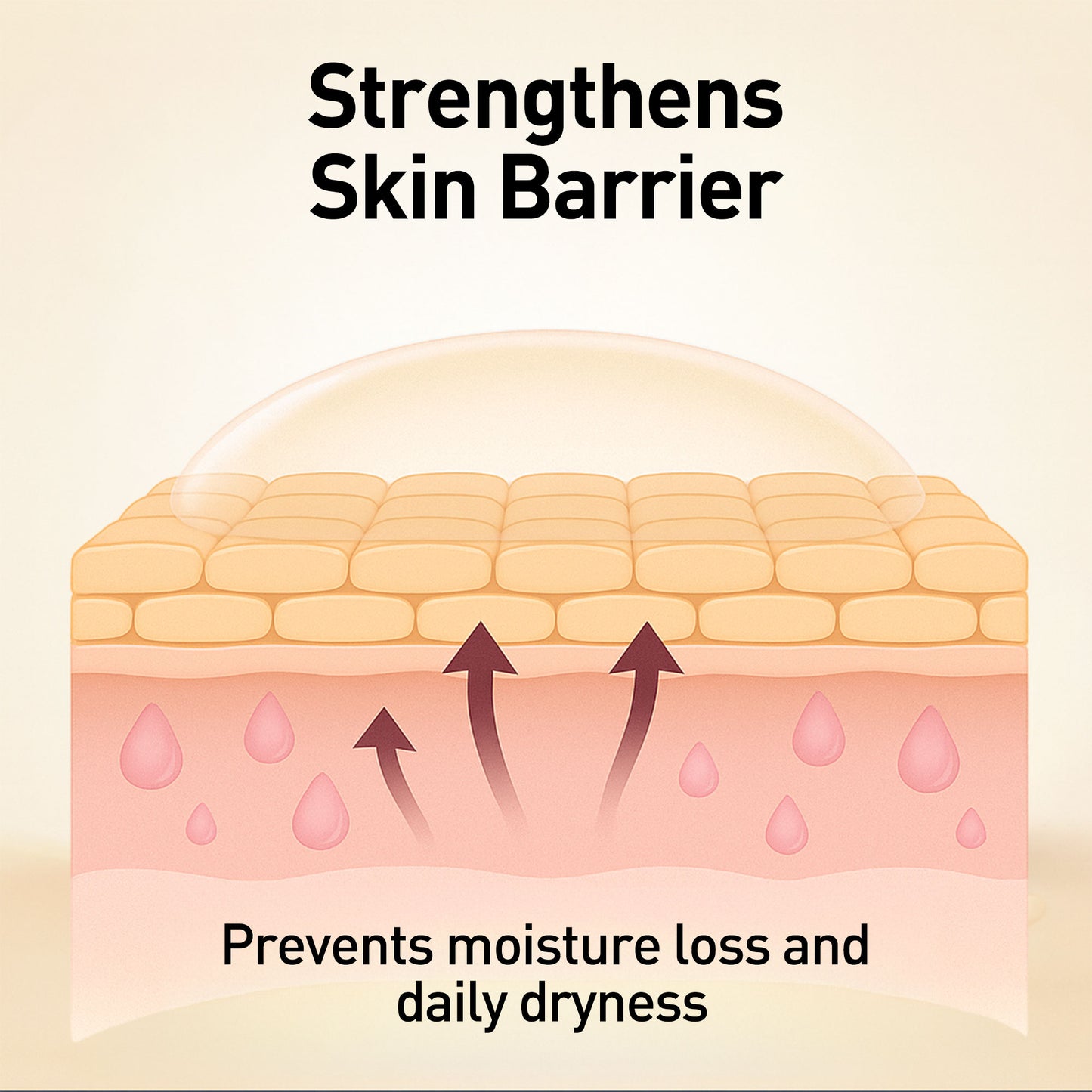 Shea Butter & Grape Seed Body Lotion