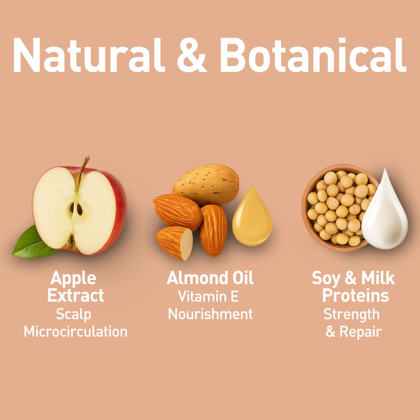 Anti Hairfall Shampoo