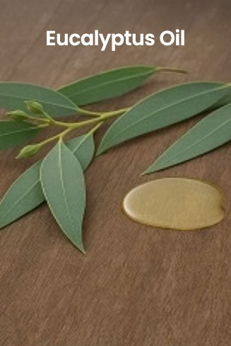 Eucalyptus leaves and oil droplet on a wooden surface with 'Eucalyptus Oil' text.