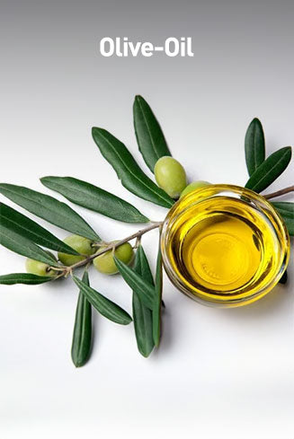Olive oil in a glass container with olive leaves on a white background
