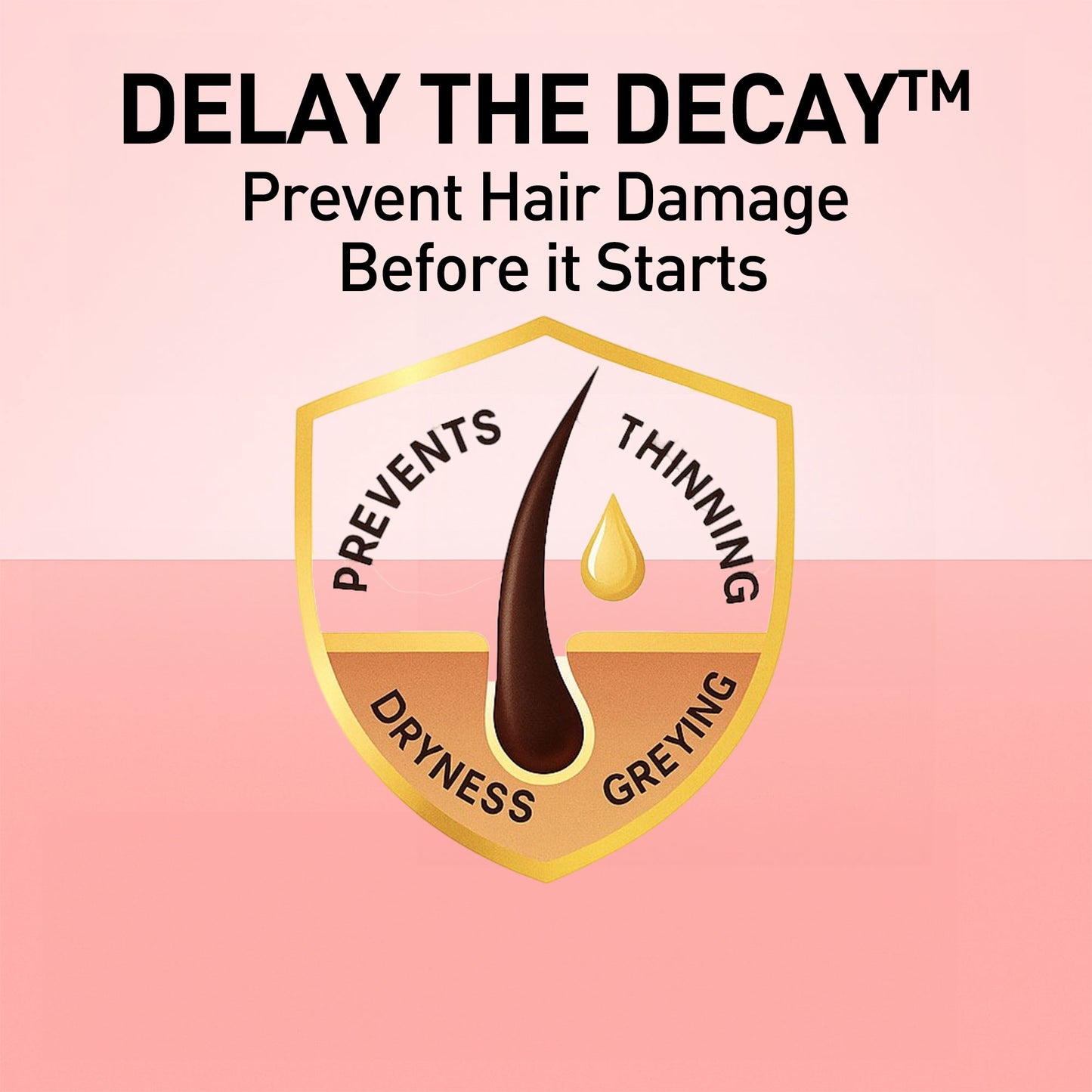 Onion Seed Hair Shampoo
