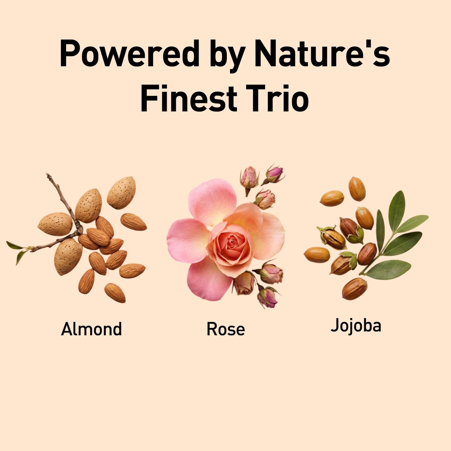 Almond & Rose Cleansing Milk