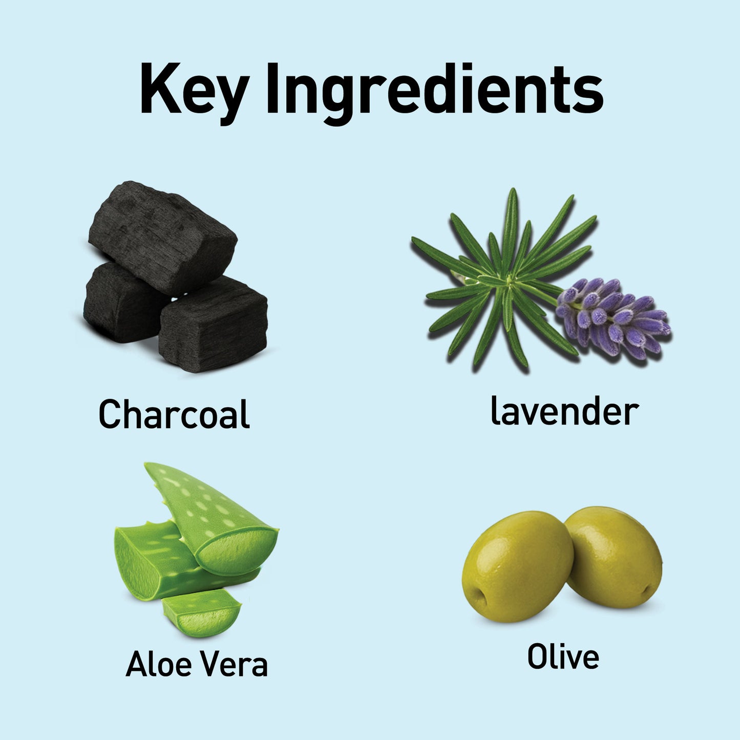 Charcoal Foaming Face Wash