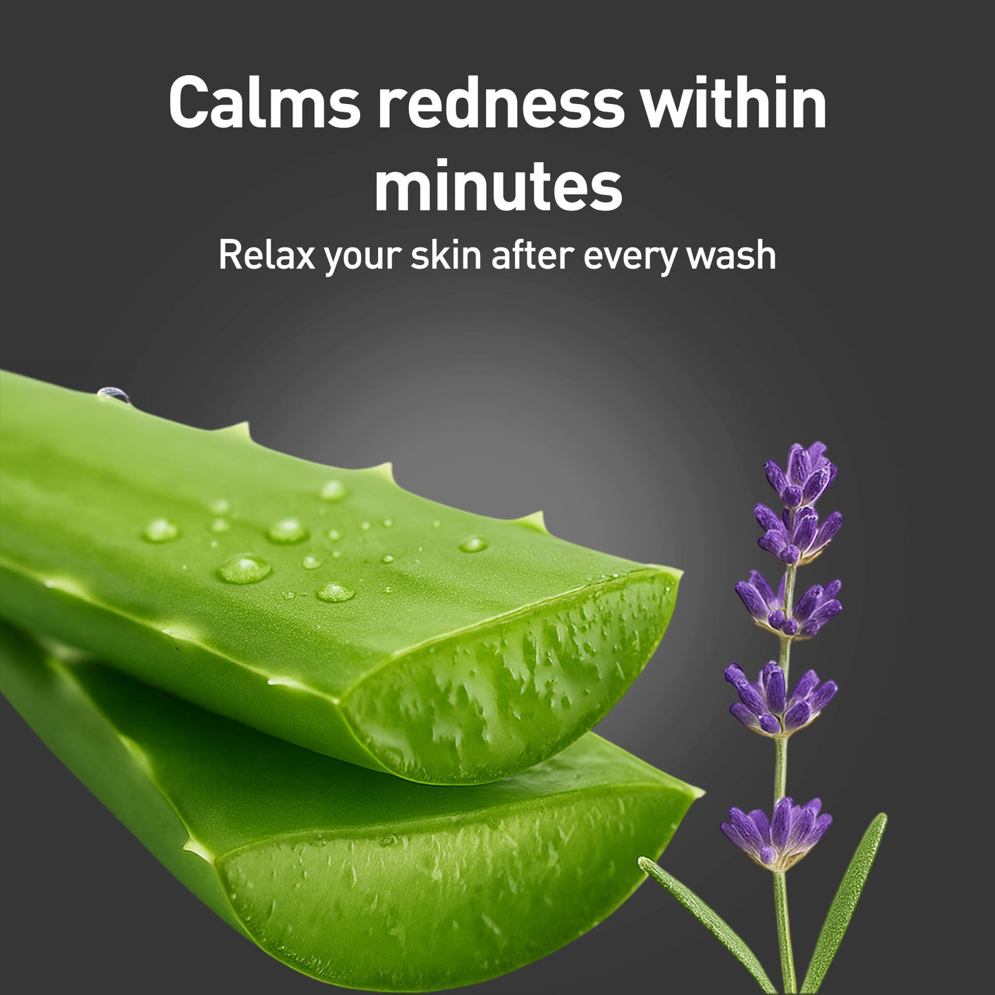 W2 Charcoal Face Wash