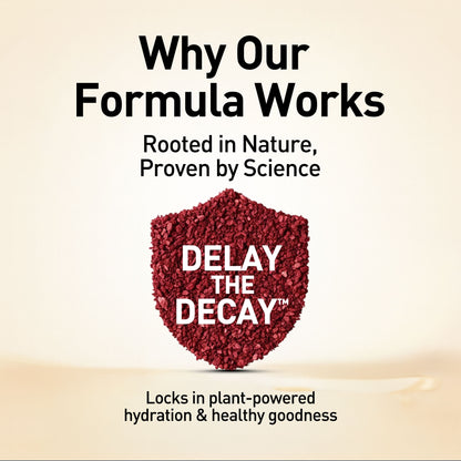 Shea Butter Body Lotion