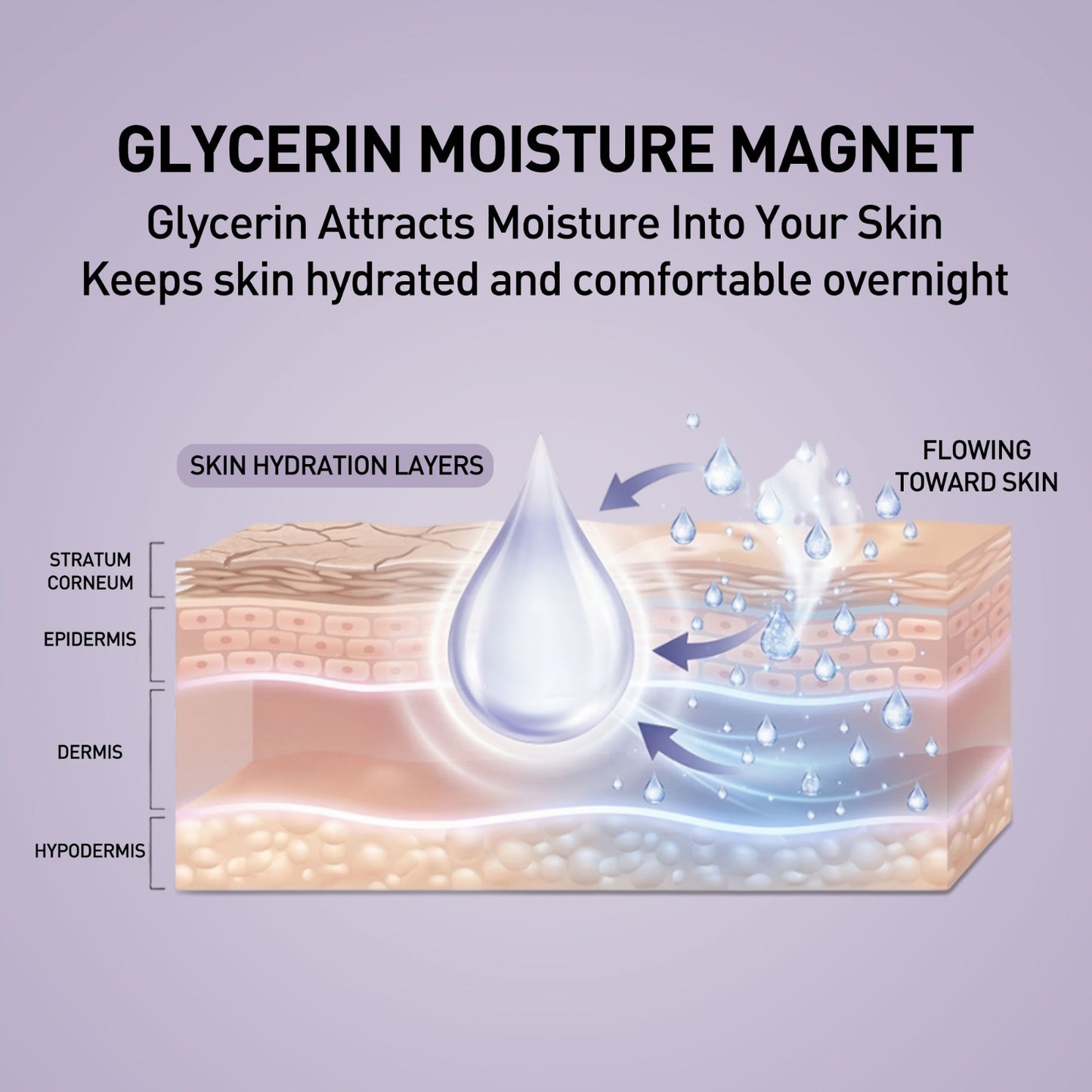Diagram of skin hydration layers with a focus on glycerin and moisture attraction.