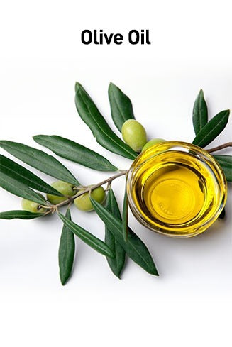 Olive oil in a small glass container with olive leaves on a white background